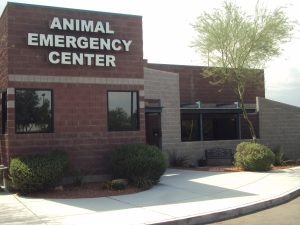 Exterior of the Las Vegas Animal Emergency Center building with signage, desert landscaping, and a clear entrance