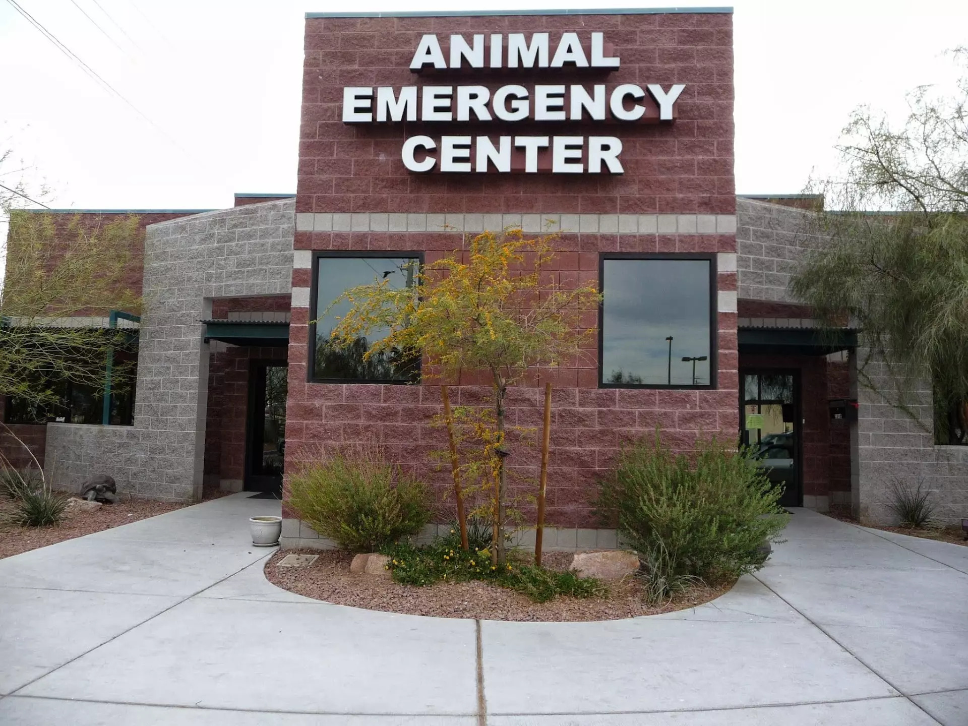 Animal Emergency Center of Las Vegas and Henderson Exterior of the Animal Emergency Center building in Las Vegas, NV with bold signage and desert landscaping